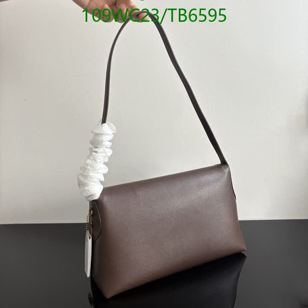 Coach-Bags(4A) Code: TB6595 $: 109USD