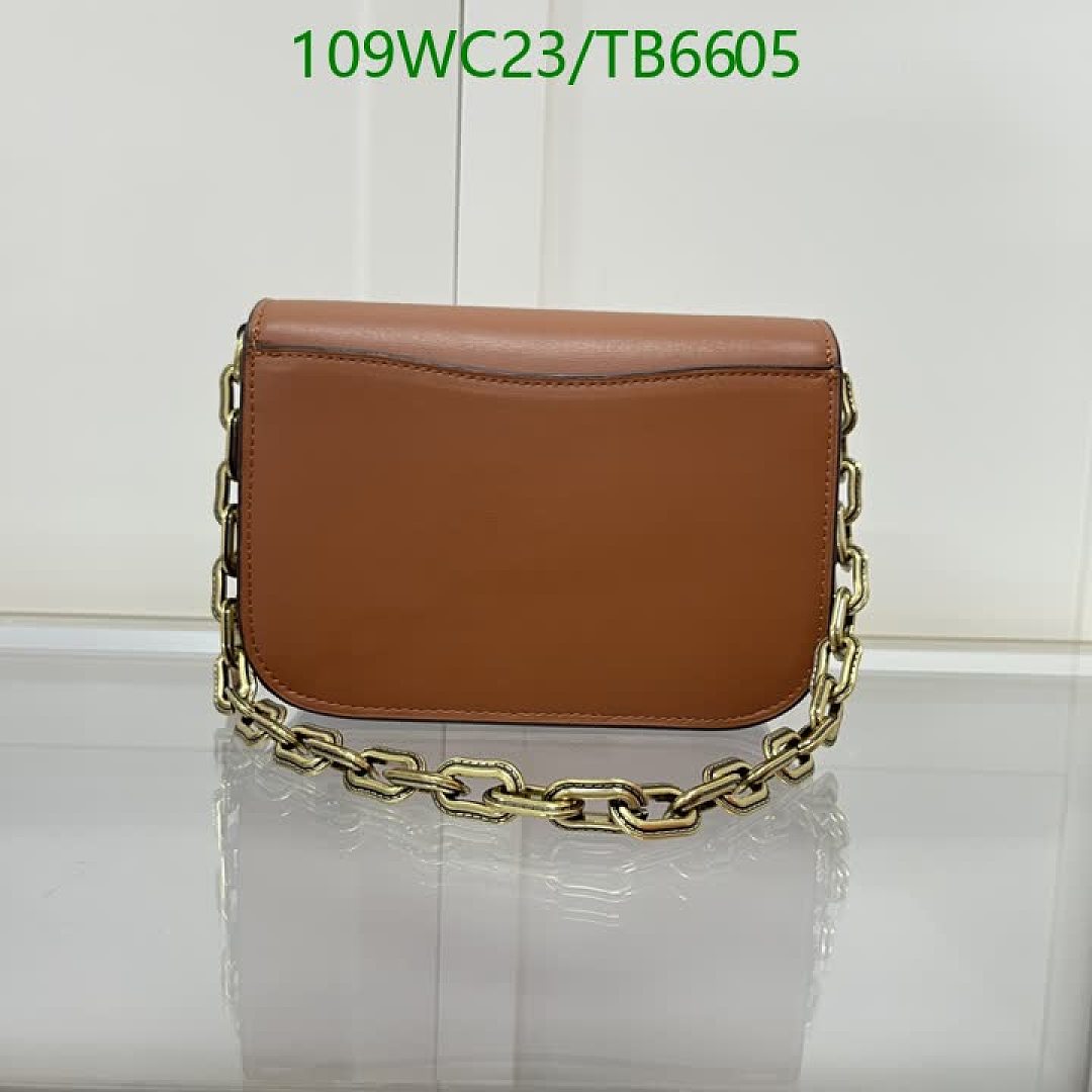 Coach-Bags(4A) Code: TB6605 $: 109USD