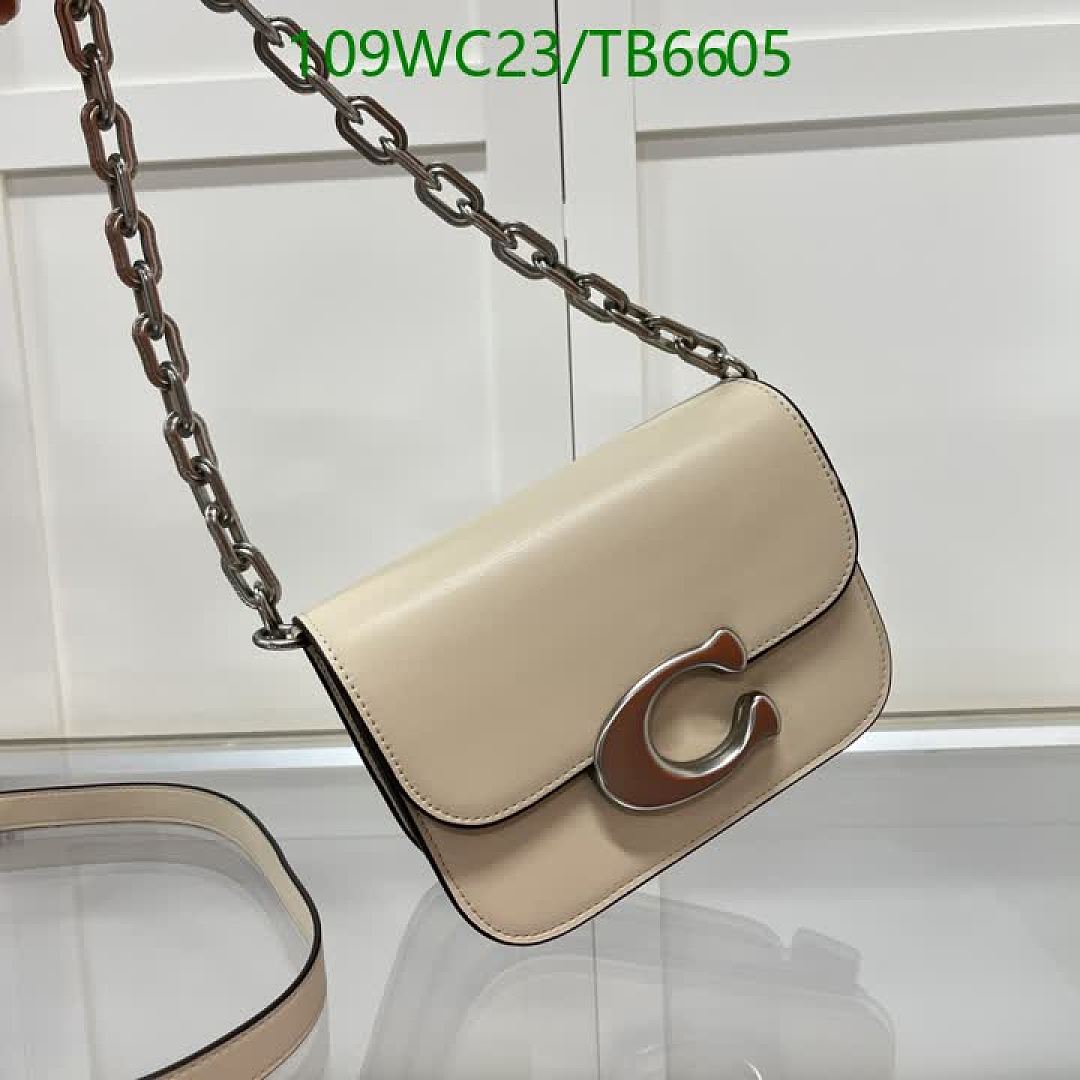 Coach-Bags(4A) Code: TB6605 $: 109USD