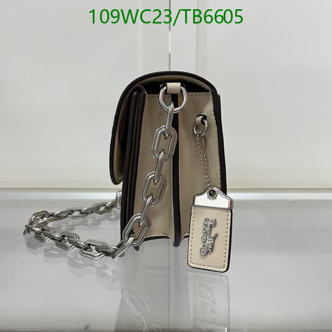 Coach-Bags(4A) Code: TB6605 $: 109USD