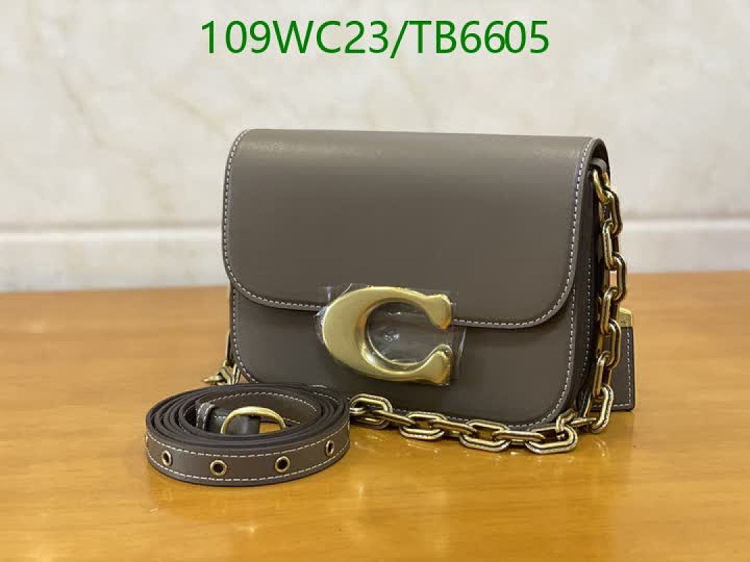 Coach-Bags(4A) Code: TB6605 $: 109USD