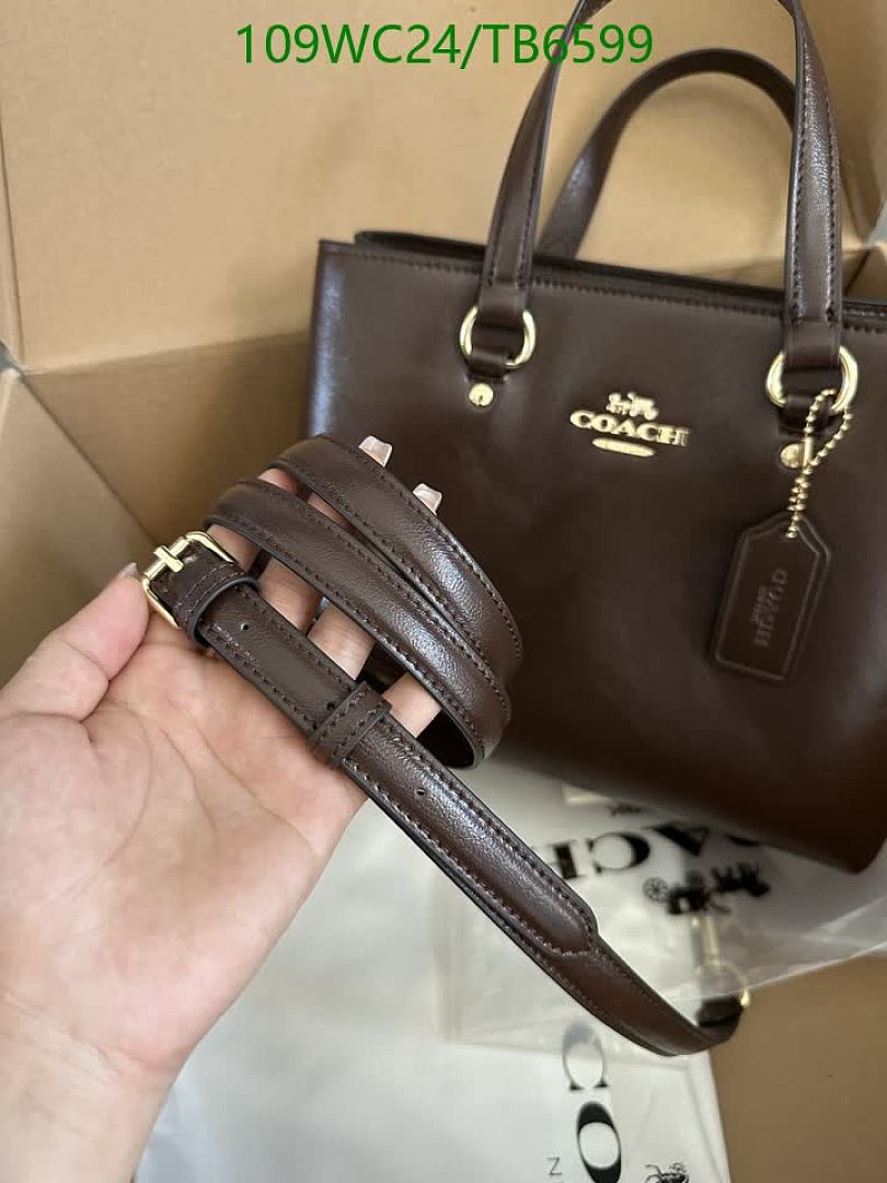 Coach-Bags(4A) Code: TB6599 $: 109USD