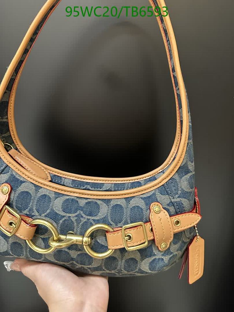 Coach-Bags(4A) Code: TB6593 $: 95USD