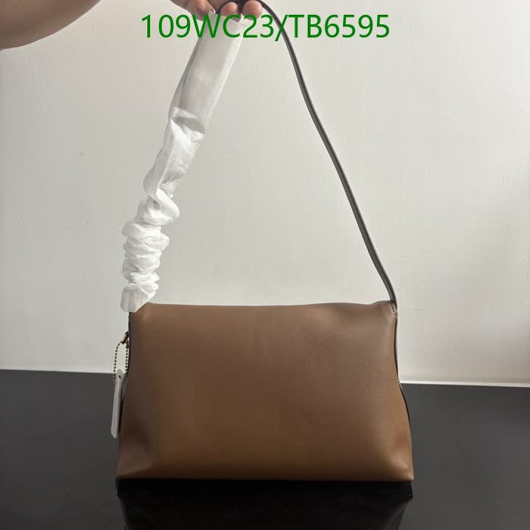 Coach-Bags(4A) Code: TB6595 $: 109USD