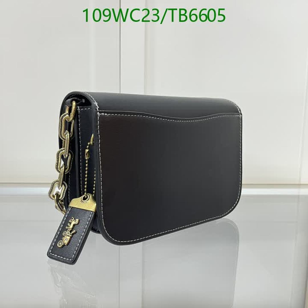 Coach-Bags(4A) Code: TB6605 $: 109USD