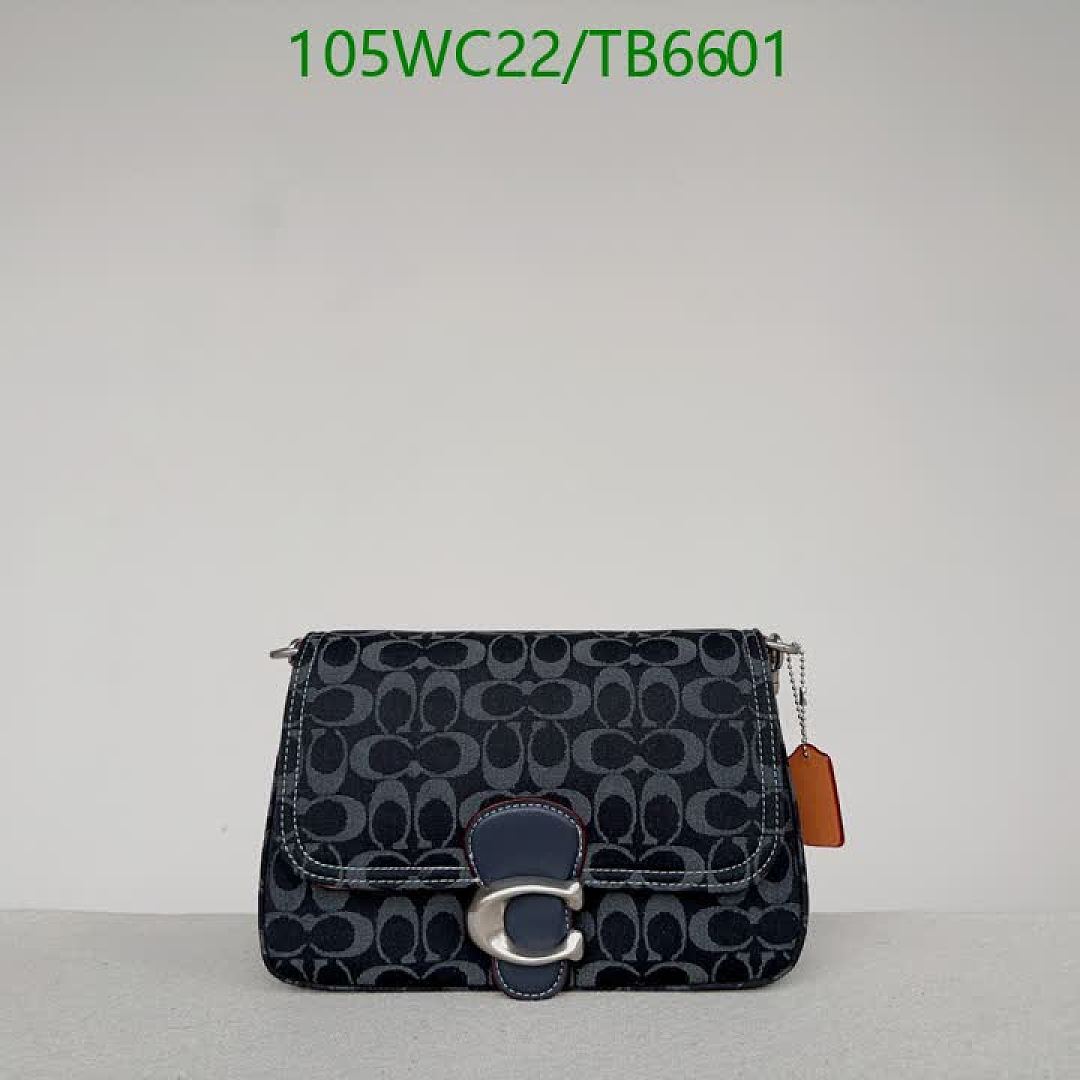 Coach-Bags(4A) Code: TB6601 $: 105USD