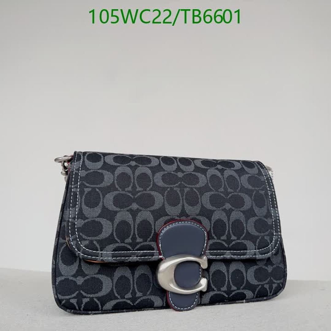Coach-Bags(4A) Code: TB6601 $: 105USD