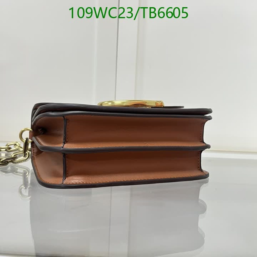 Coach-Bags(4A) Code: TB6605 $: 109USD