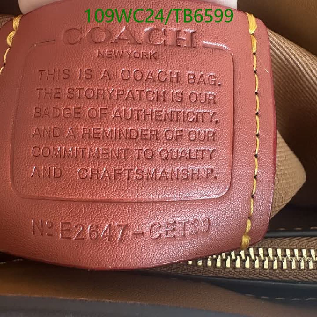 Coach-Bags(4A) Code: TB6599 $: 109USD