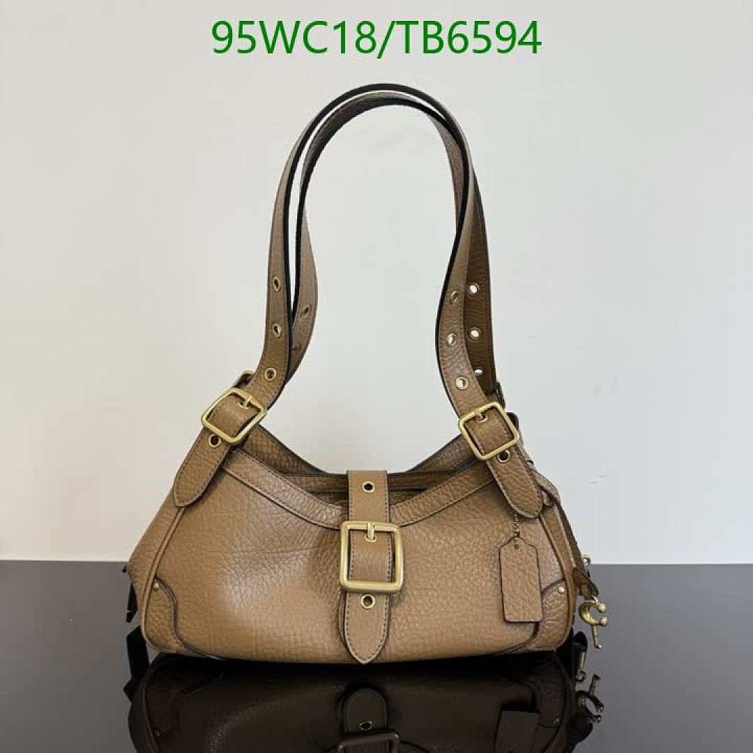 Coach-Bags(4A) Code: TB6594 $: 95USD
