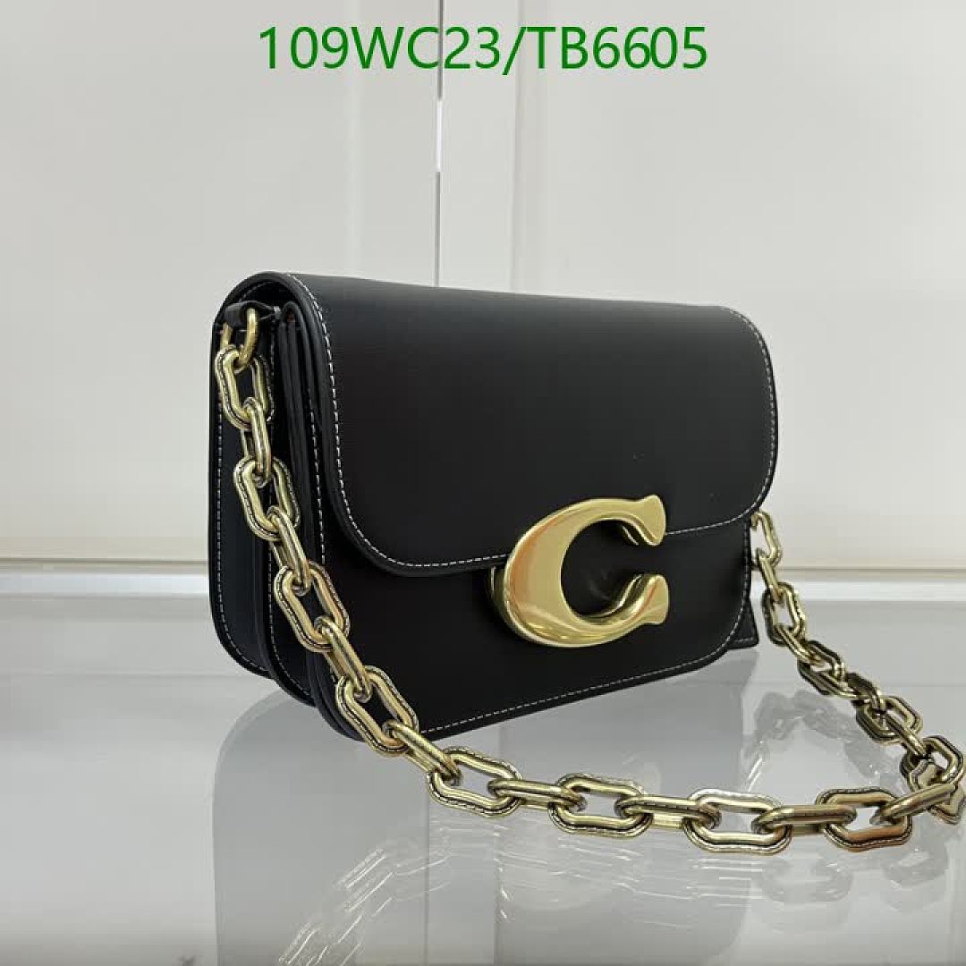 Coach-Bags(4A) Code: TB6605 $: 109USD