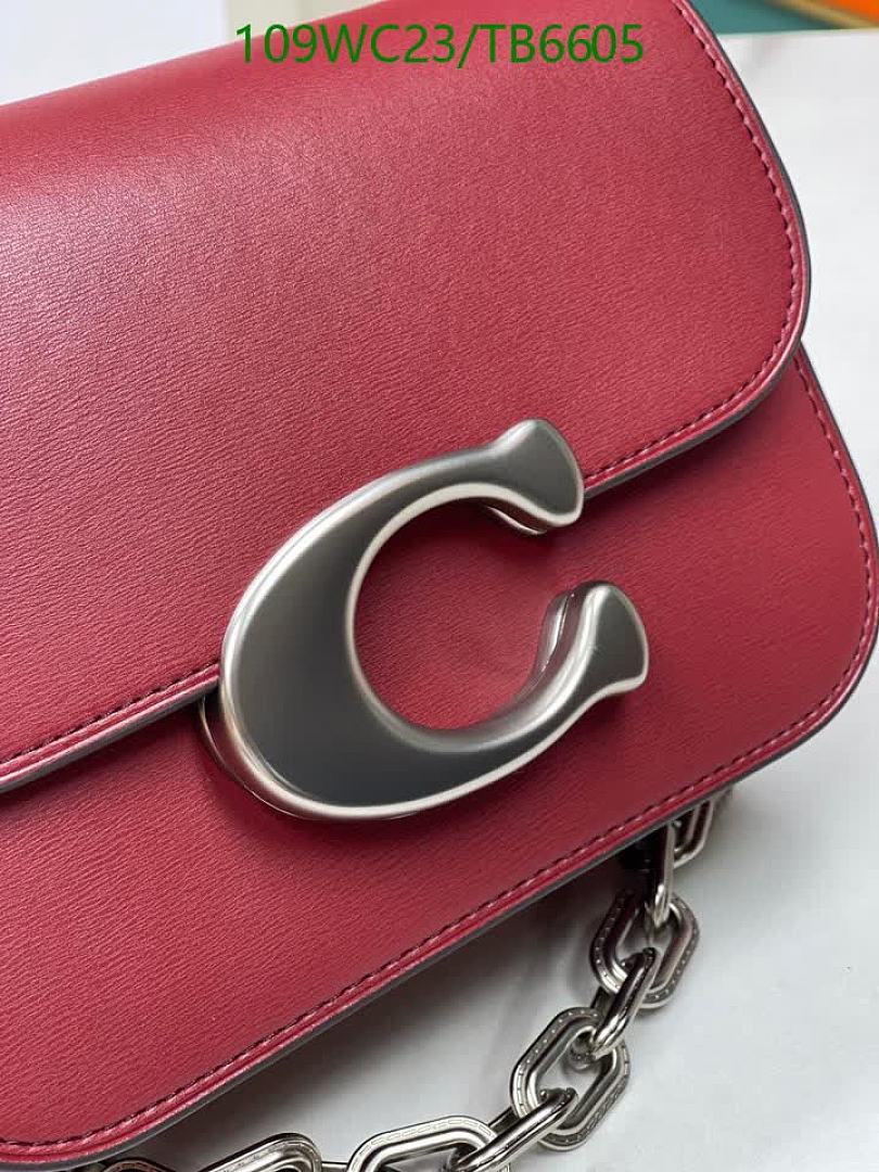 Coach-Bags(4A) Code: TB6605 $: 109USD