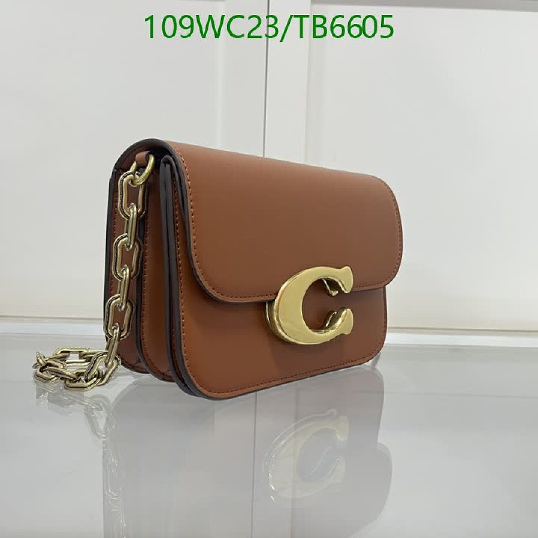 Coach-Bags(4A) Code: TB6605 $: 109USD