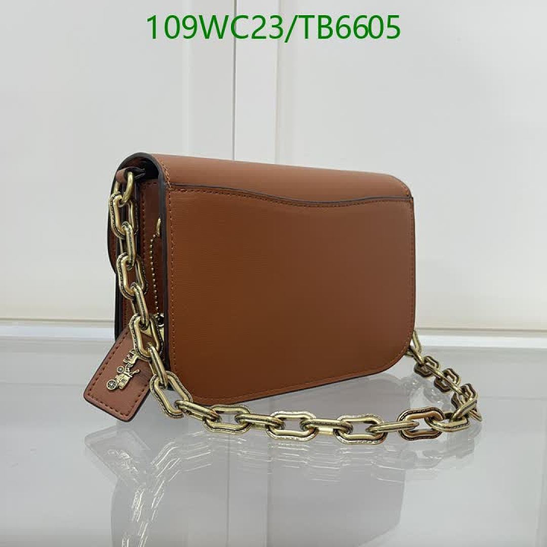 Coach-Bags(4A) Code: TB6605 $: 109USD