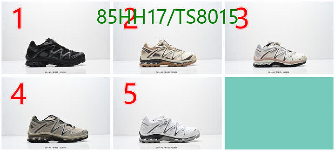 Salomon-Shoes(Men) Code: TS8015 $: 85USD