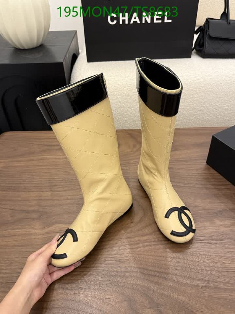 Boots-Shoes(Women) Code: TS8683 $: 195USD