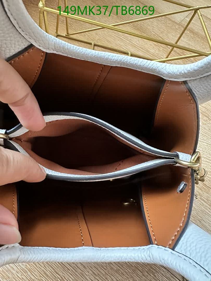 Coach-Bags(5A) Code: TB6869 $: 149USD