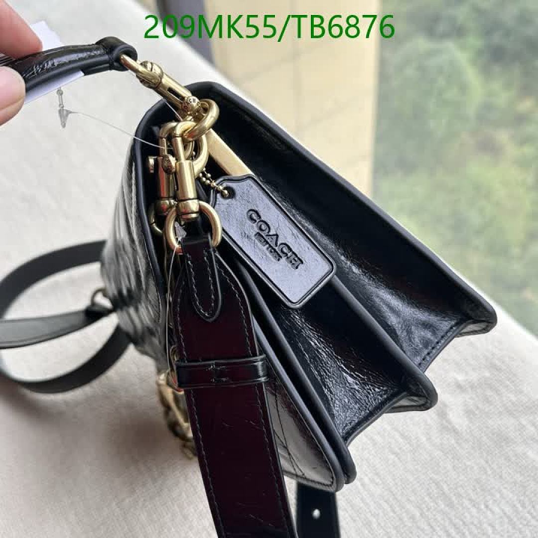 Coach-Bags(5A) Code: TB6876 $: 209USD
