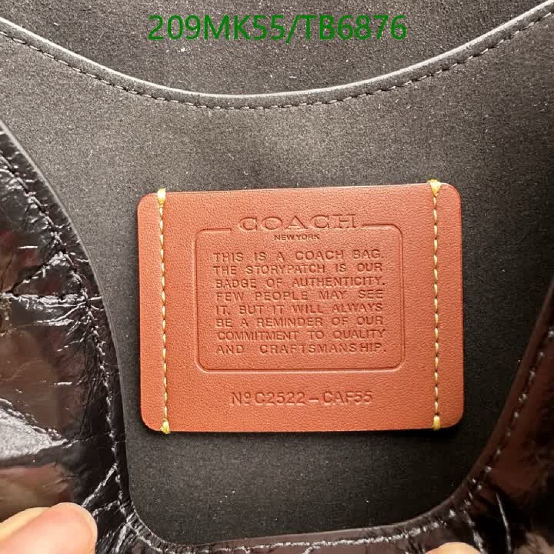 Coach-Bags(5A) Code: TB6876 $: 209USD