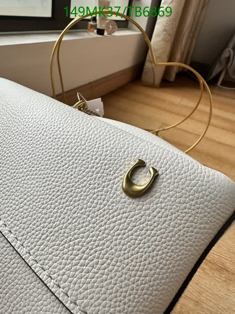 Coach-Bags(5A) Code: TB6869 $: 149USD