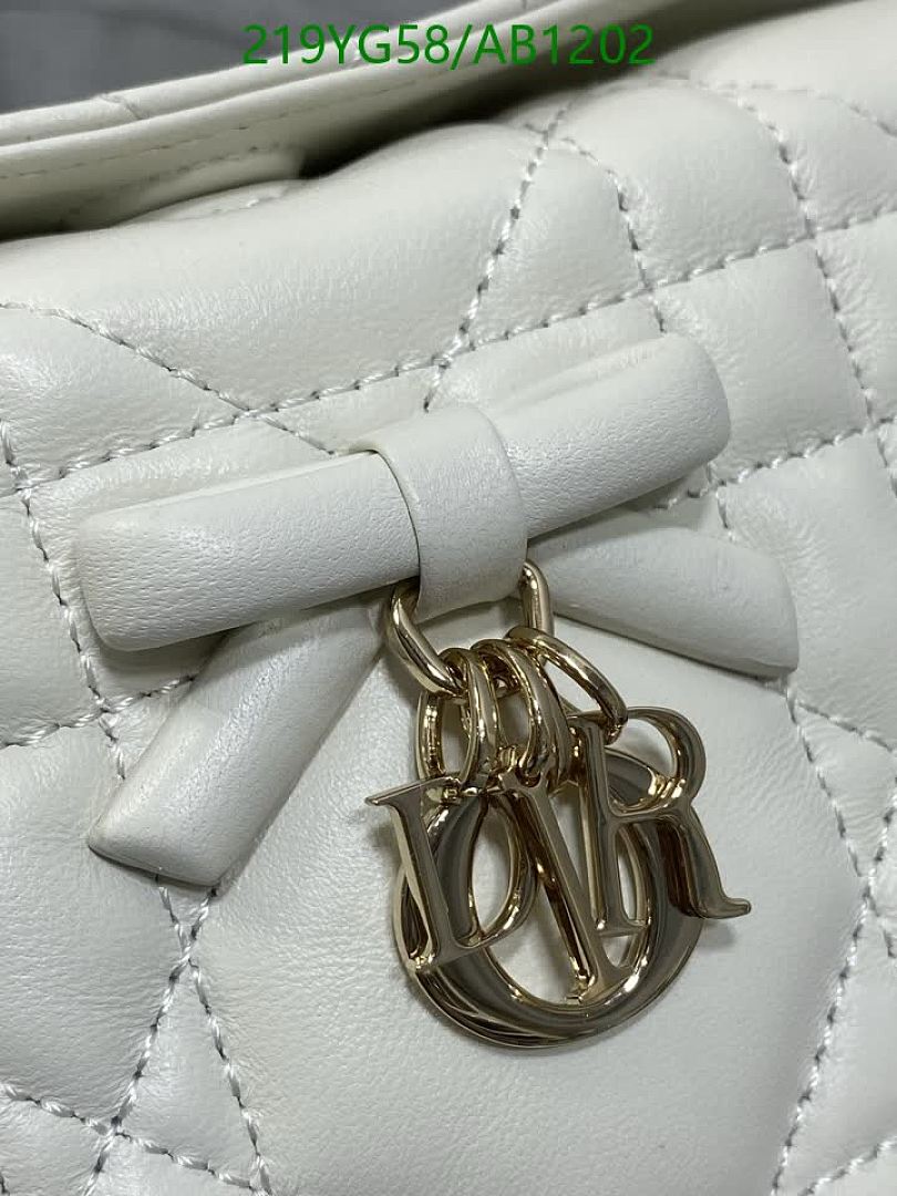 Dior-BagsMirror Quality Code: AB1202 $: 219USD