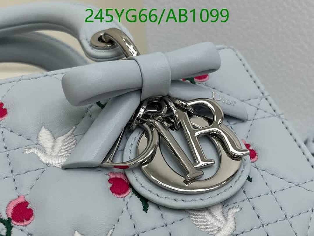 Dior-BagsMirror Quality Code: AB1099 $: 245USD