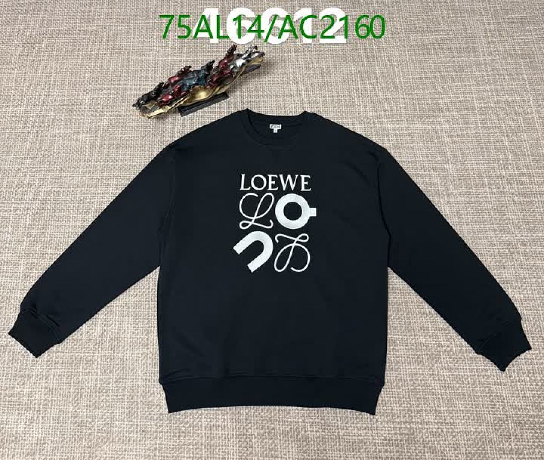 Loewe-Clothing Code: AC2160 $: 75USD
