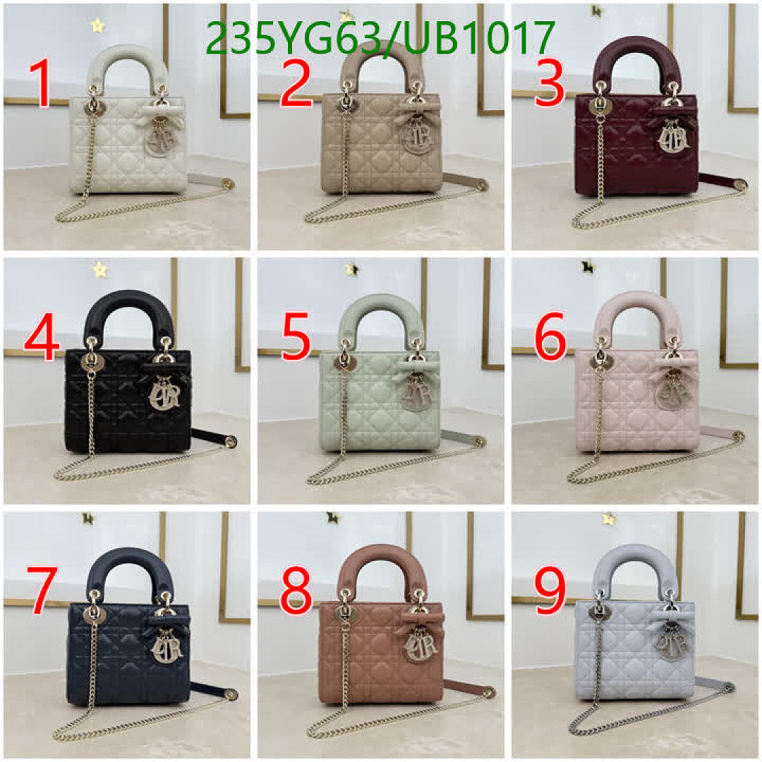 Dior-BagsMirror Quality Code: UB1017 $: 235USD