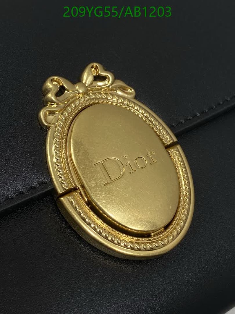 Dior-BagsMirror Quality Code: AB1203 $: 209USD