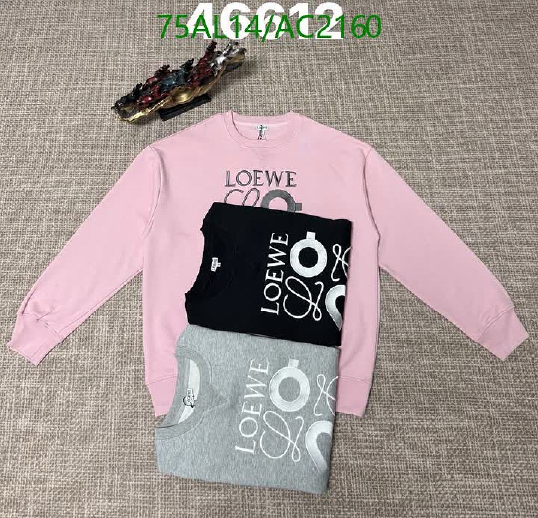 Loewe-Clothing Code: AC2160 $: 75USD