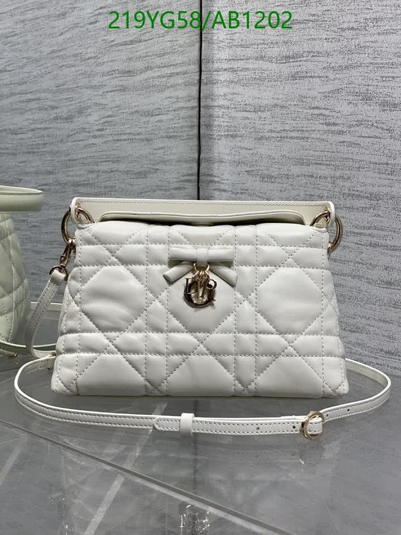 Dior-BagsMirror Quality Code: AB1202 $: 219USD