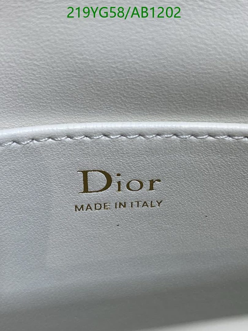 Dior-BagsMirror Quality Code: AB1202 $: 219USD
