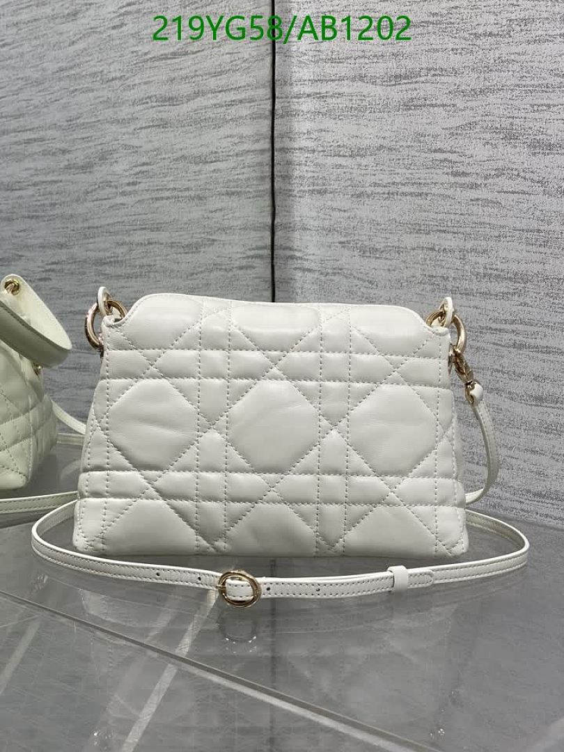 Dior-BagsMirror Quality Code: AB1202 $: 219USD