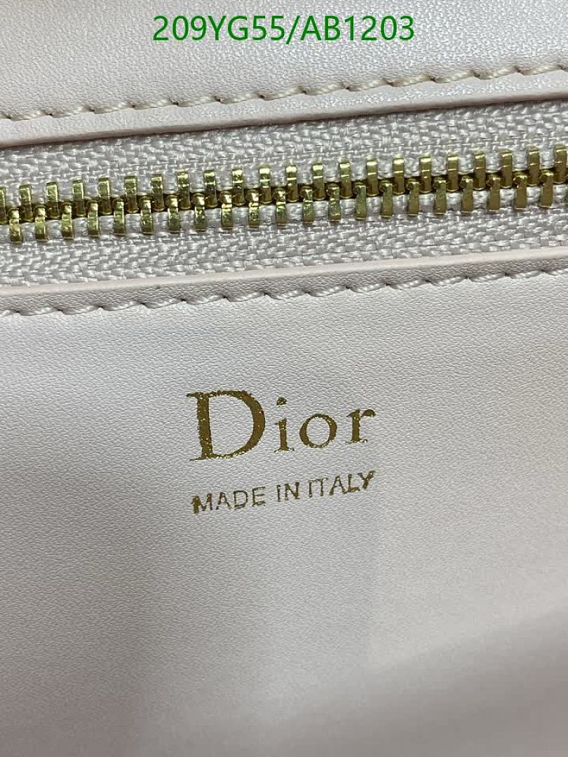 Dior-BagsMirror Quality Code: AB1203 $: 209USD