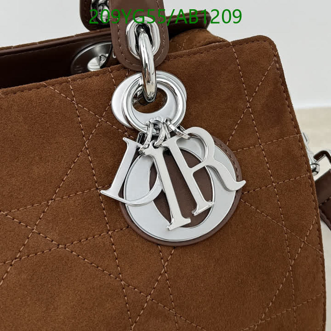 Dior-BagsMirror Quality Code: AB1209 $: 209USD