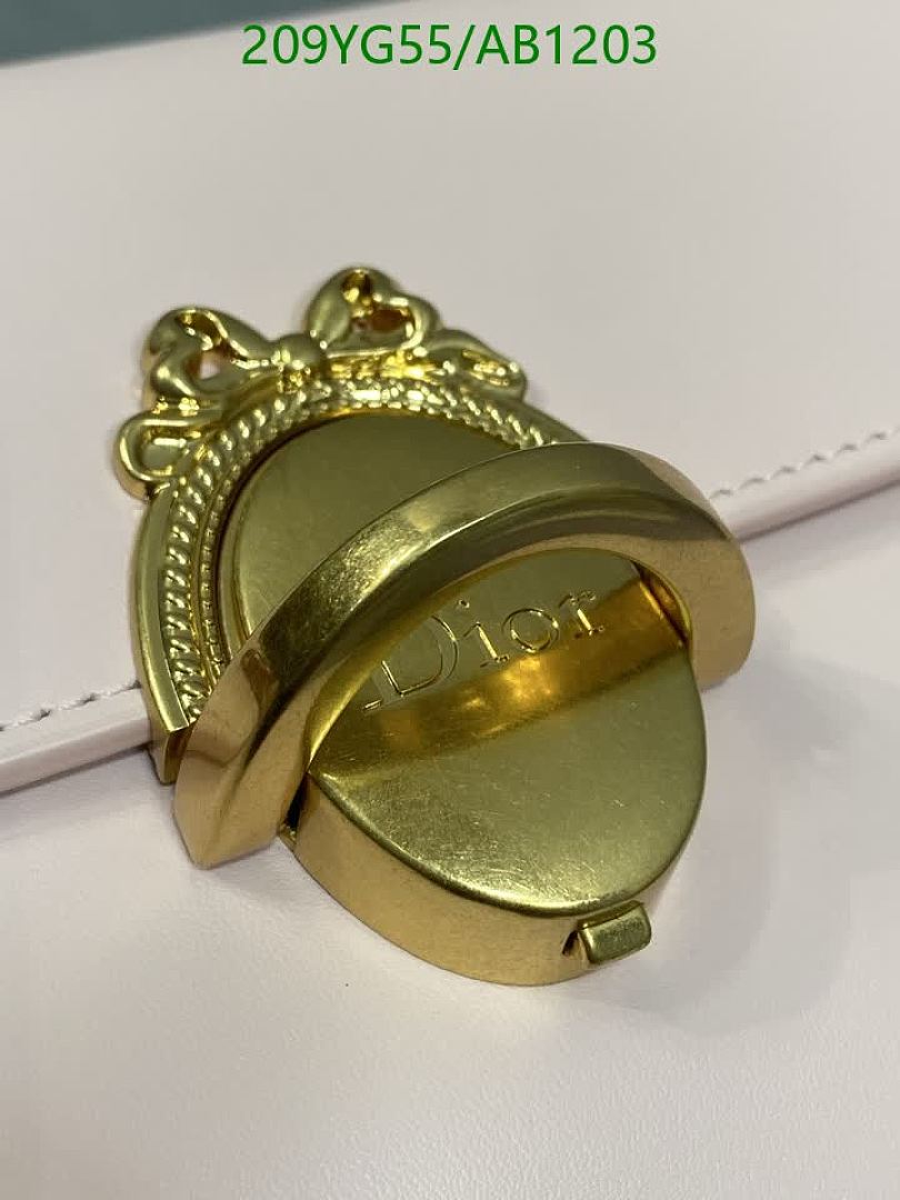 Dior-BagsMirror Quality Code: AB1203 $: 209USD