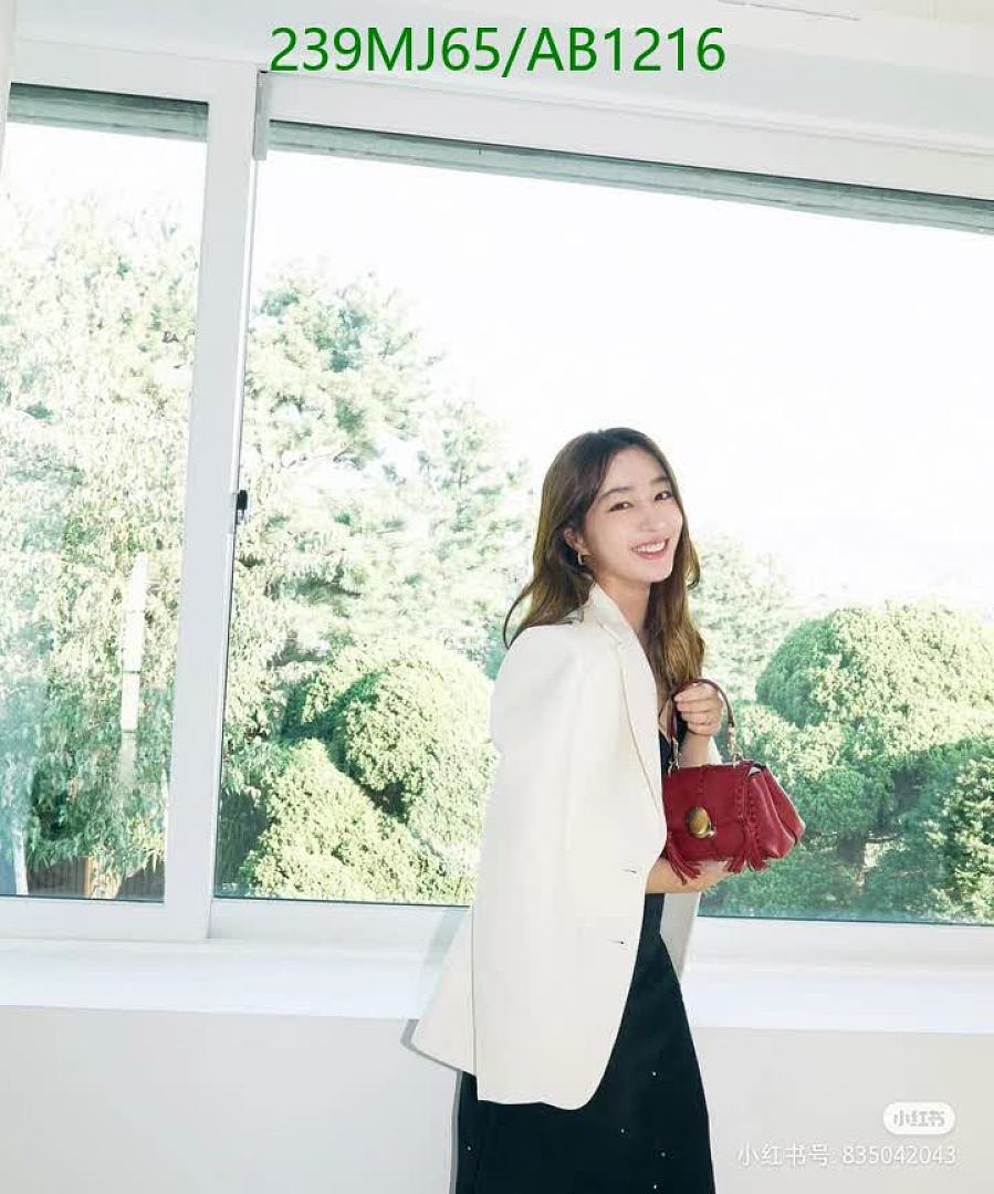 Chloe-BagsMirror Quality Code: AB1216 $: 239USD