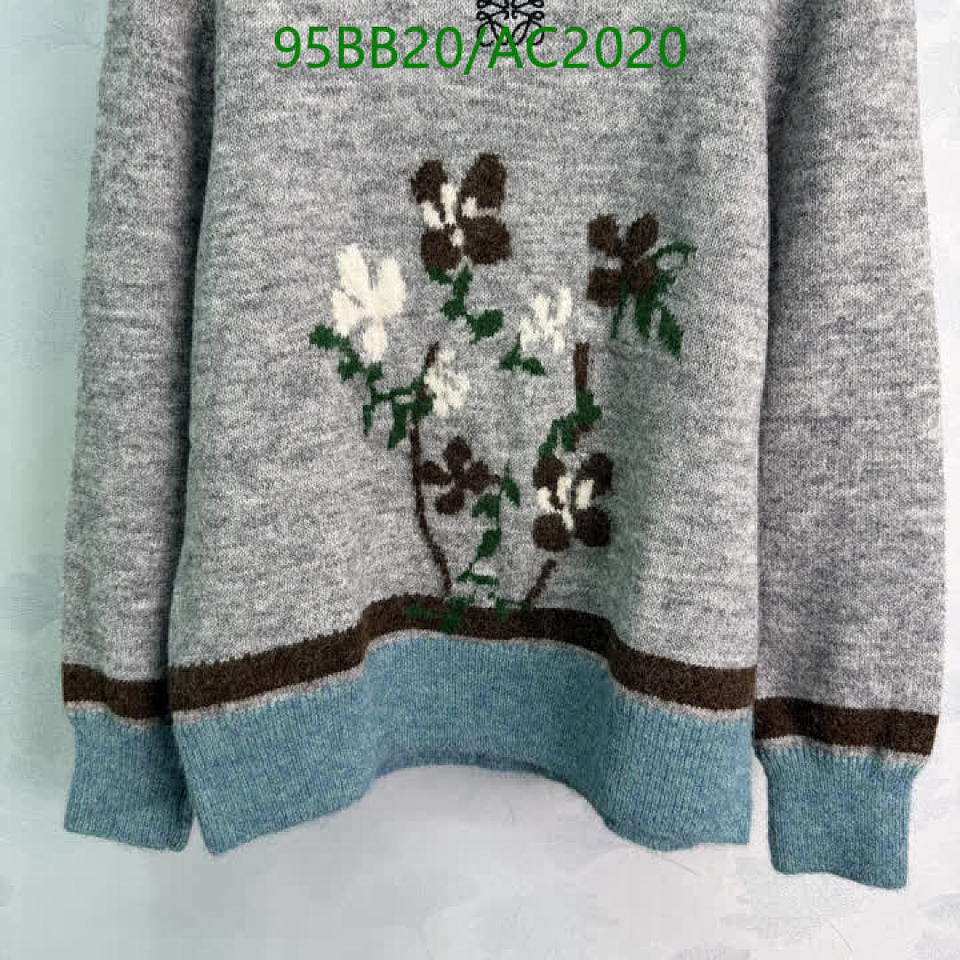 Loewe-Clothing Code: AC2020 $: 95USD