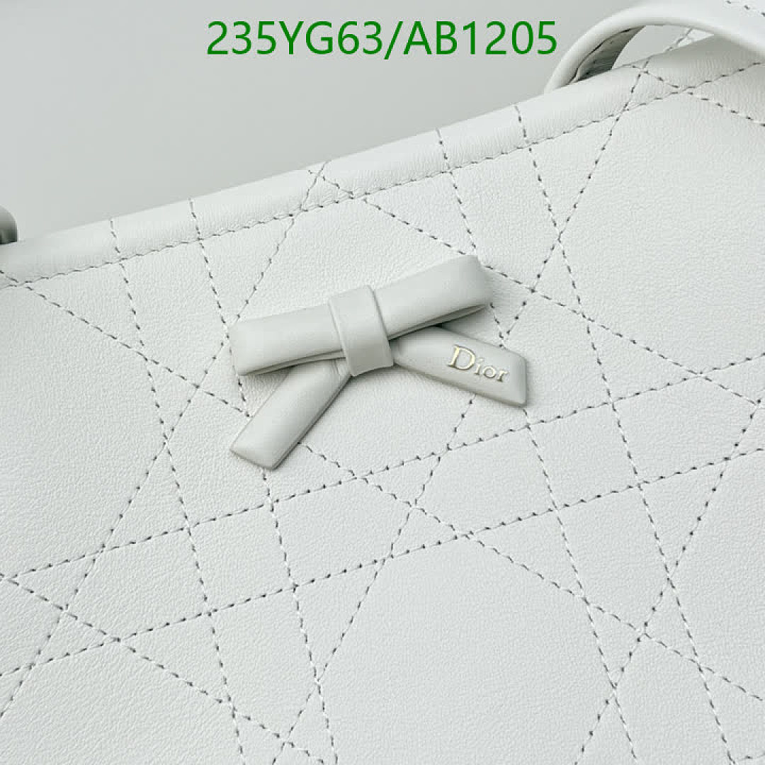 Dior-BagsMirror Quality Code: AB1205 $: 235USD