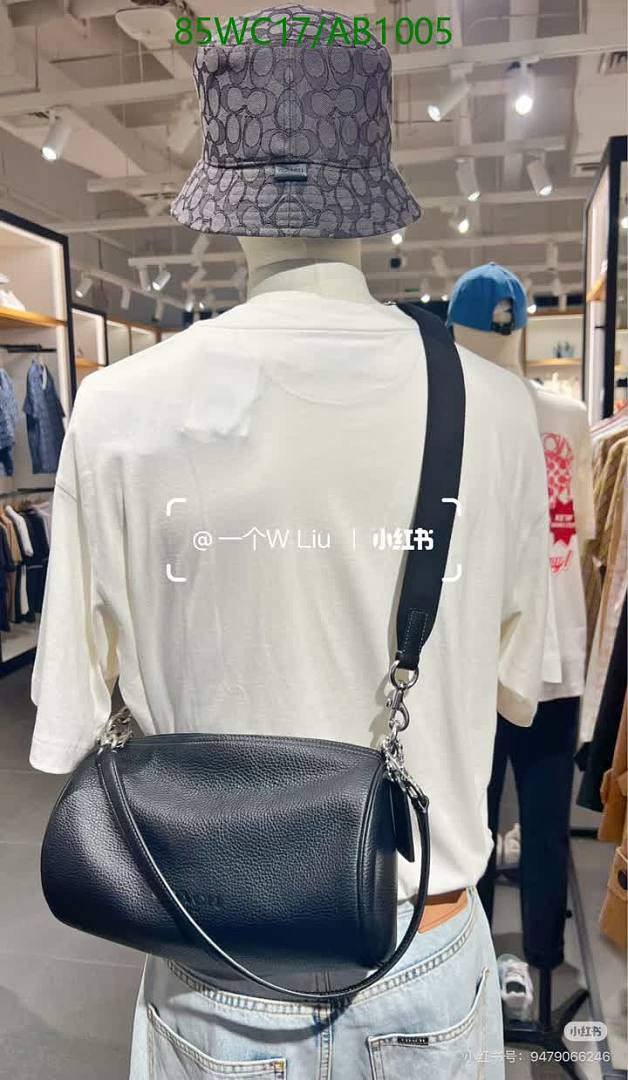 Coach-Bags4A Quality Code: AB1005 $: 85USD