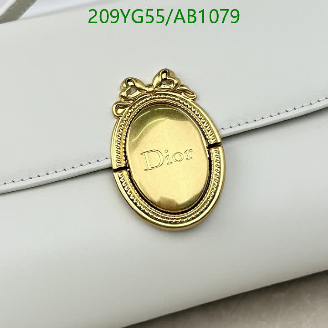 Dior-BagsMirror Quality Code: AB1079 $: 209USD