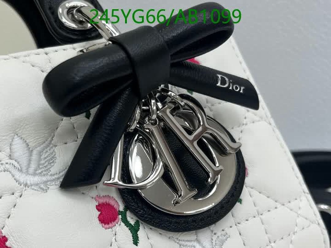 Dior-BagsMirror Quality Code: AB1099 $: 245USD