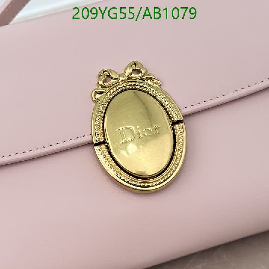 Dior-BagsMirror Quality Code: AB1079 $: 209USD