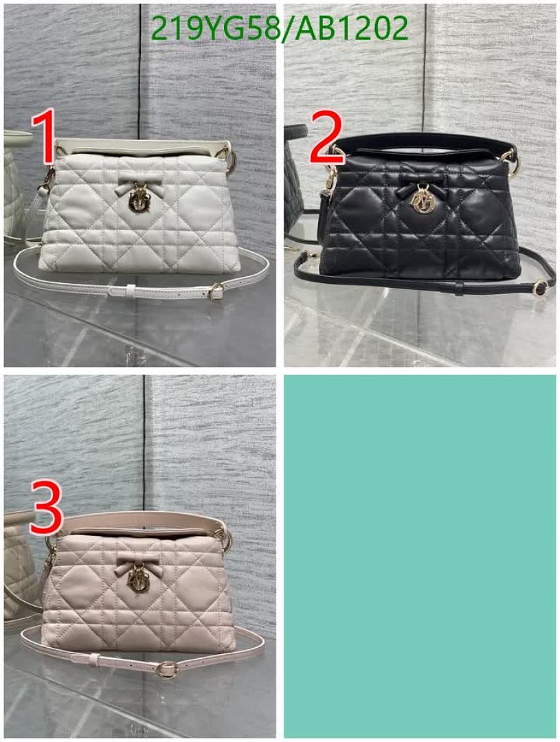 Dior-BagsMirror Quality Code: AB1202 $: 219USD