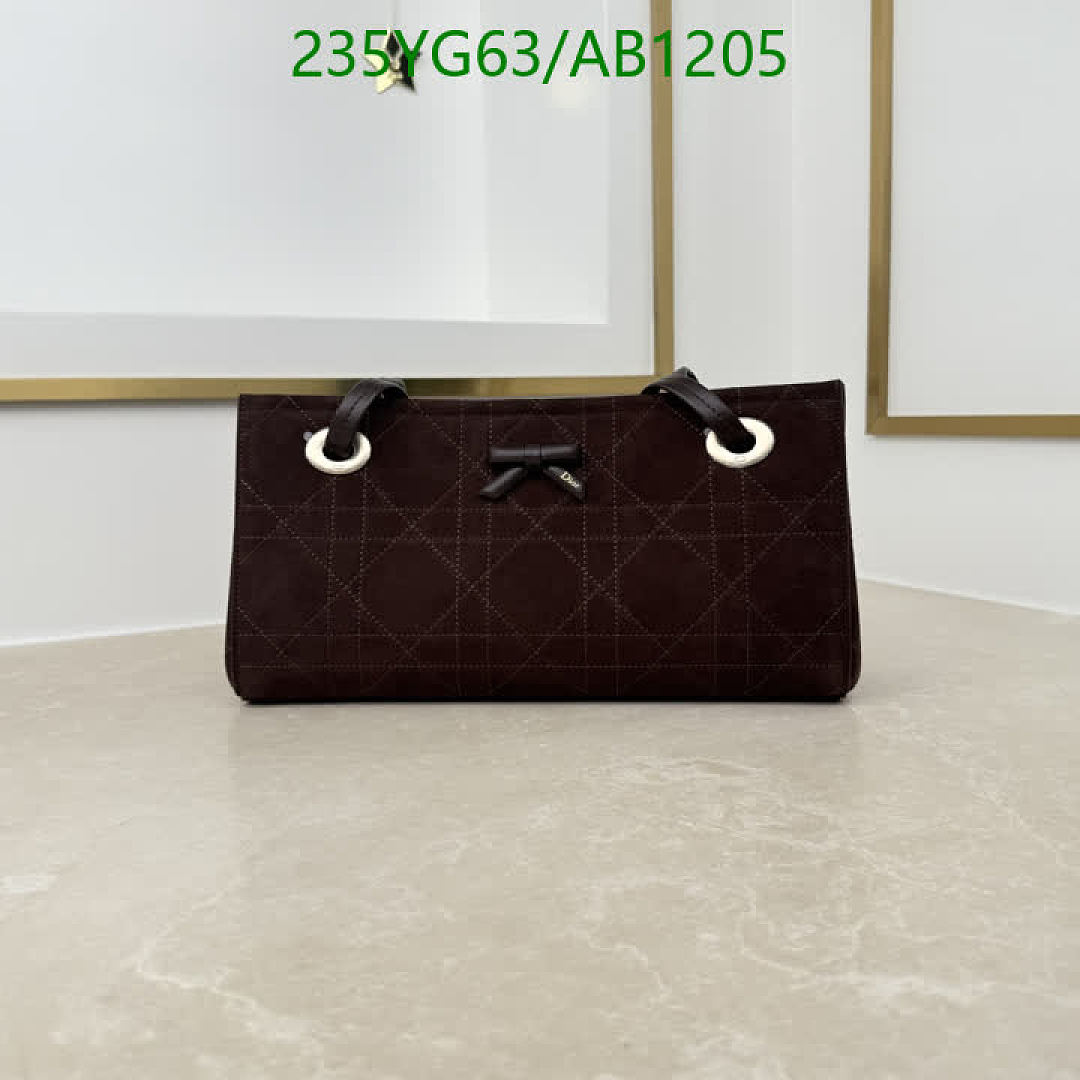 Dior-BagsMirror Quality Code: AB1205 $: 235USD