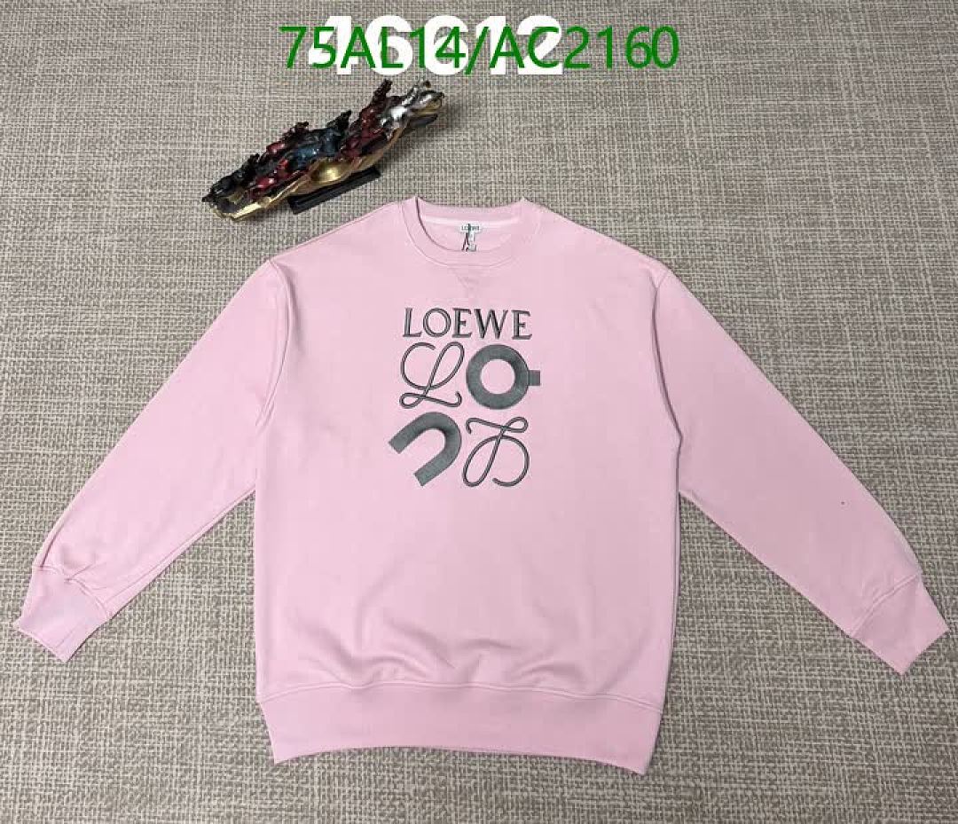 Loewe-Clothing Code: AC2160 $: 75USD