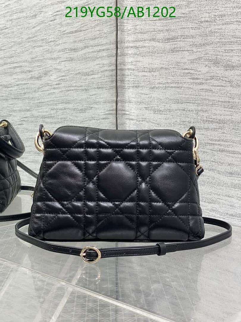 Dior-BagsMirror Quality Code: AB1202 $: 219USD