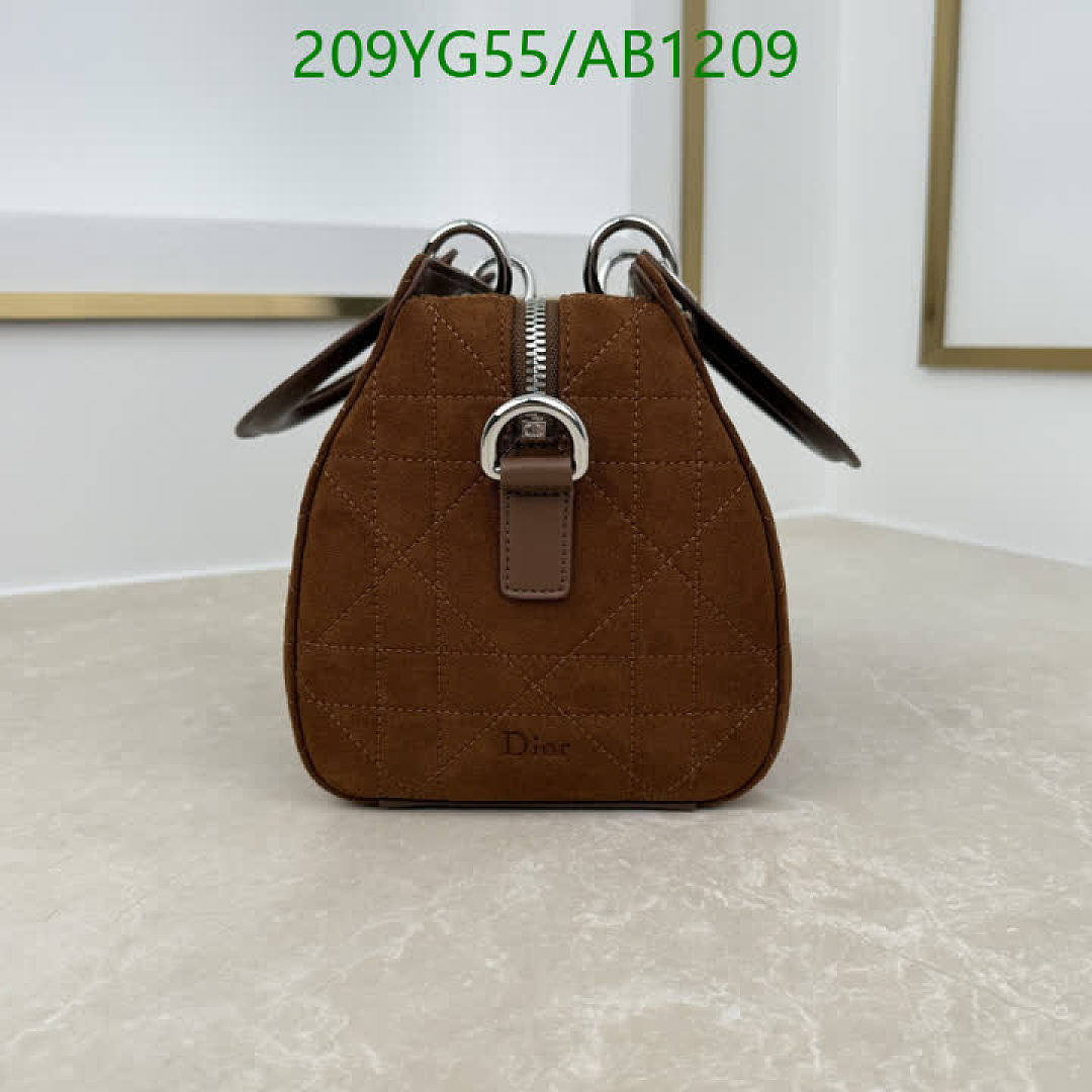 Dior-BagsMirror Quality Code: AB1209 $: 209USD