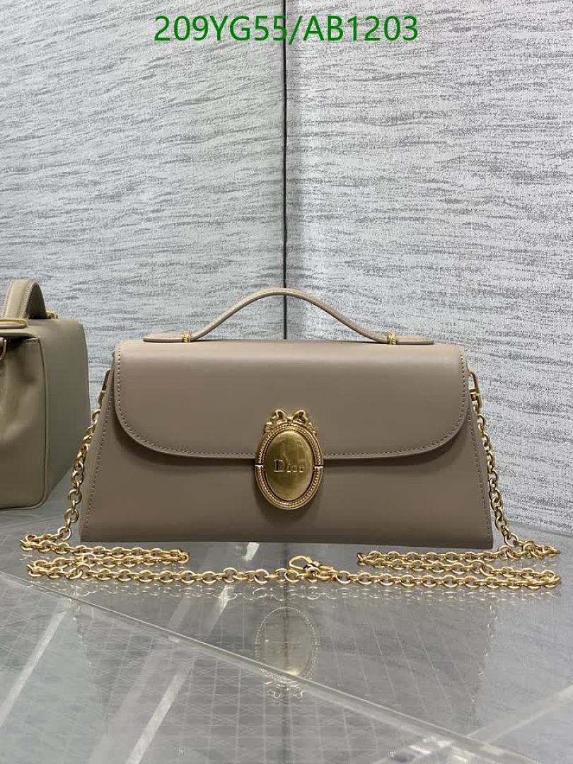 Dior-BagsMirror Quality Code: AB1203 $: 209USD