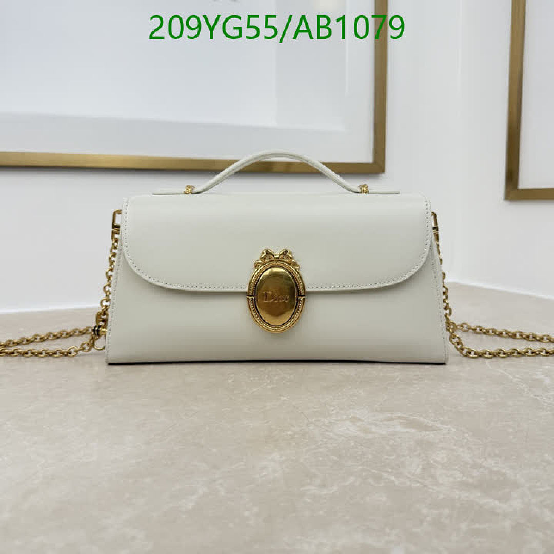 Dior-BagsMirror Quality Code: AB1079 $: 209USD